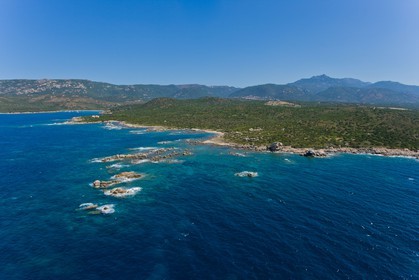 Figari
