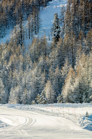 Isola 2000