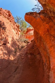 Roussillon