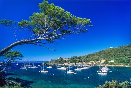 Port-Cros