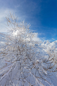 La Foux-d'Allos
