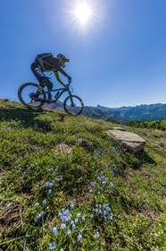 Vtt