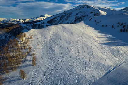 Auron