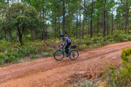 Bikingman