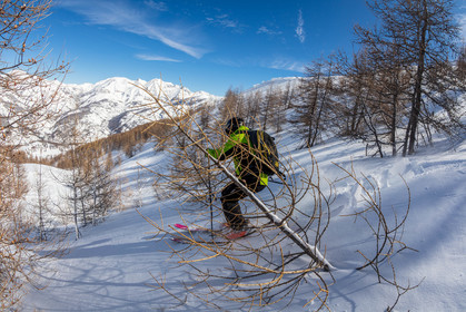 Freeride