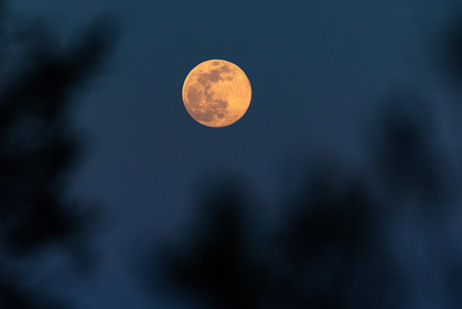 Lune