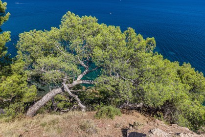 La Seyne-sur-Mer