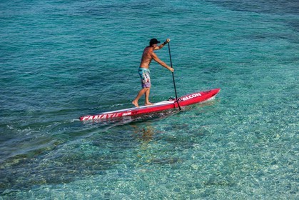 Paddle