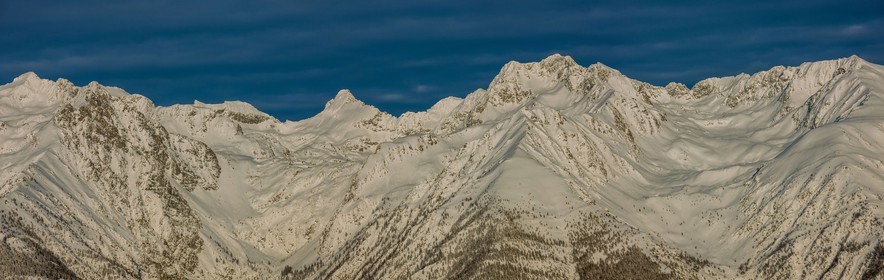 Auron