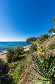 Saint-Mandrier-sur-Mer