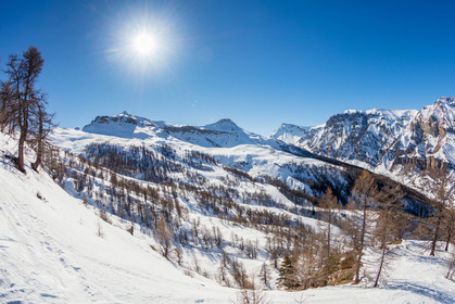 Auron