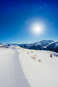 Auron