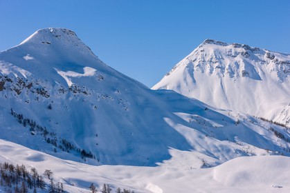 Auron