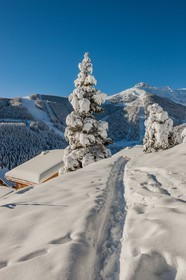 Auron