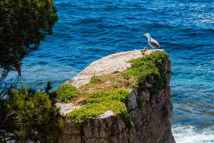 Lérins Sainte-Marguerite