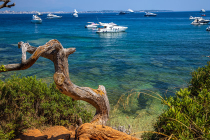 Lérins Sainte-Marguerite 2023