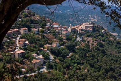 Belgodère