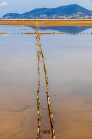 Salins d'Hyères