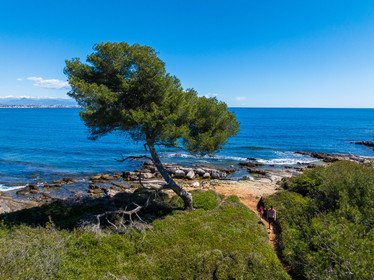 Lérins Sainte-Marguerite 2024
