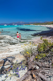 Saleccia