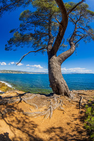 Lérins Sainte-Marguerite 2024