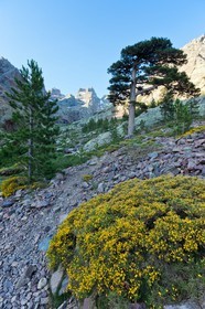 Monte Cinto