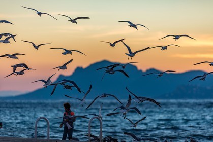 Cannes