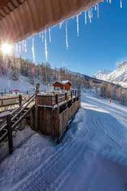 Auron