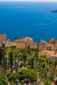 Eze Jardin exotique