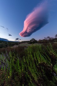 Lenticulaire