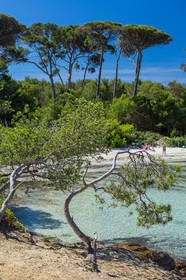 Porquerolles