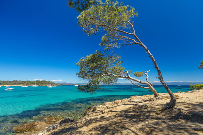 Porquerolles