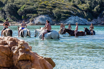 Equitation