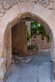 Bargemon