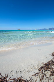 Saleccia
