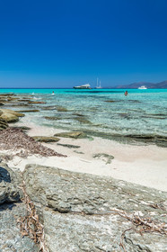 Saleccia