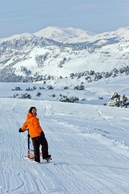 Trikke Skki