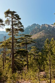 Monte Cinto