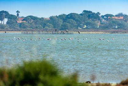 Hyères