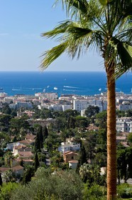 Cannes