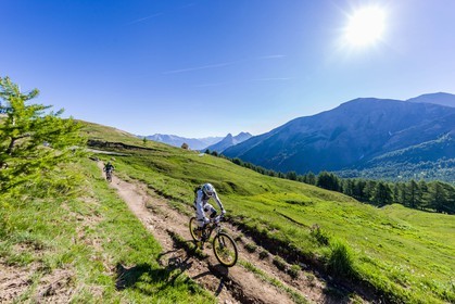 Vtt