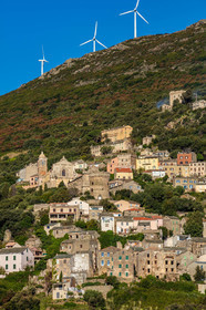 Rogliano