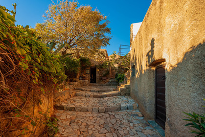 Pigna