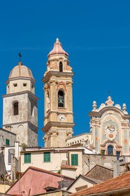 Cervo
