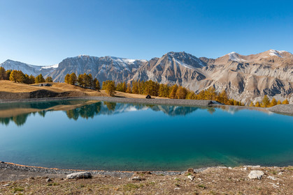 Auron
