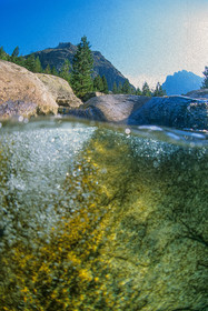 Restonica