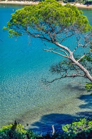 Porquerolles