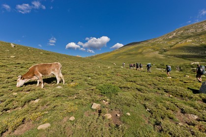 GR 20 Nord