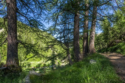 Mercantour