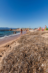Tonnara